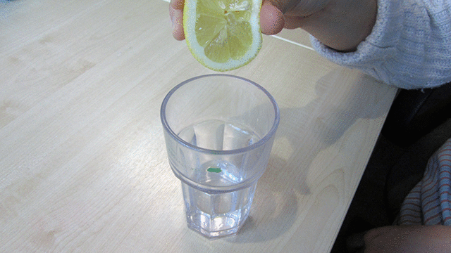 1589249675362482.jpg 15.jpg