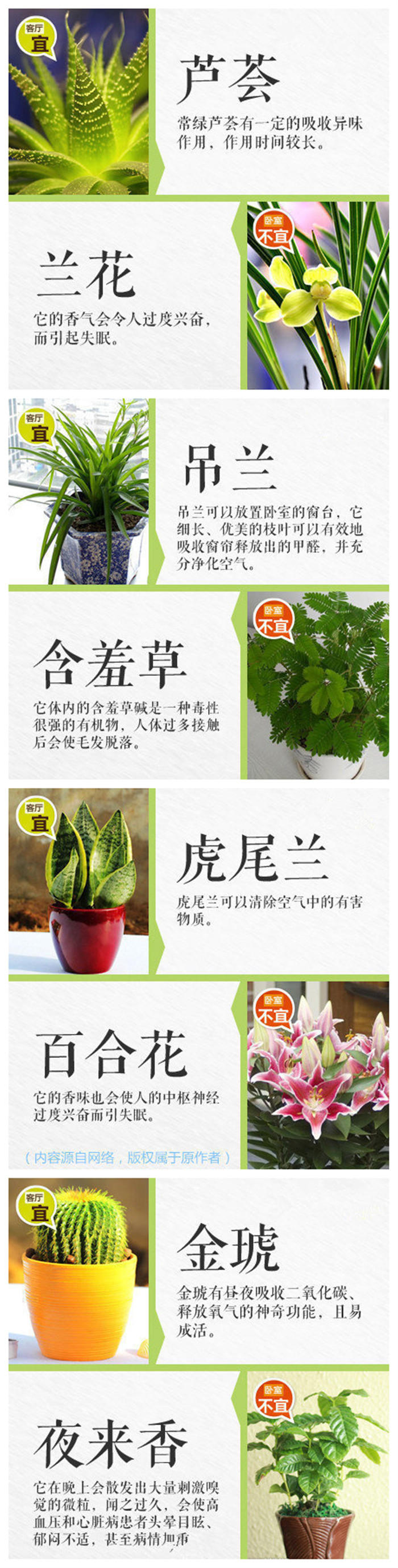 1596511630120481.jpg 002.jpg