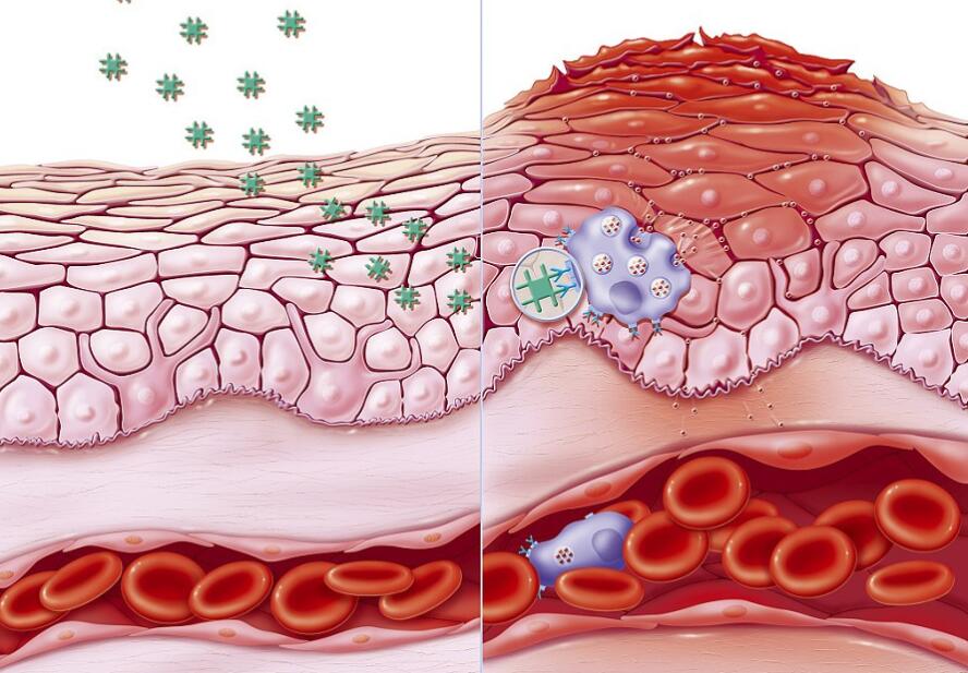 讓你的肌膚毛孔越來(lái)越細(xì)膩~