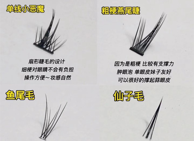 假睫毛科普知識，廣西化妝基礎(chǔ)