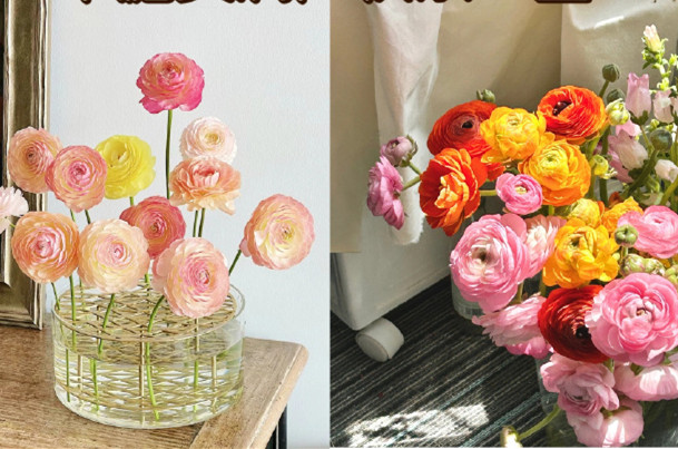 小眾但花語很美的花卉，南寧鮮花知識培訓(xùn)