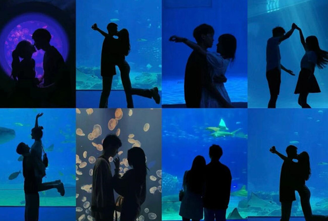 在海洋館怎么拍照？廣西人物形象設(shè)計(jì)專業(yè)支招