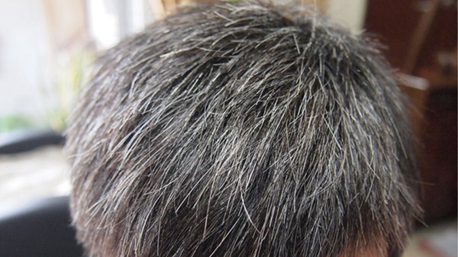 1727234407729299.png 900.png