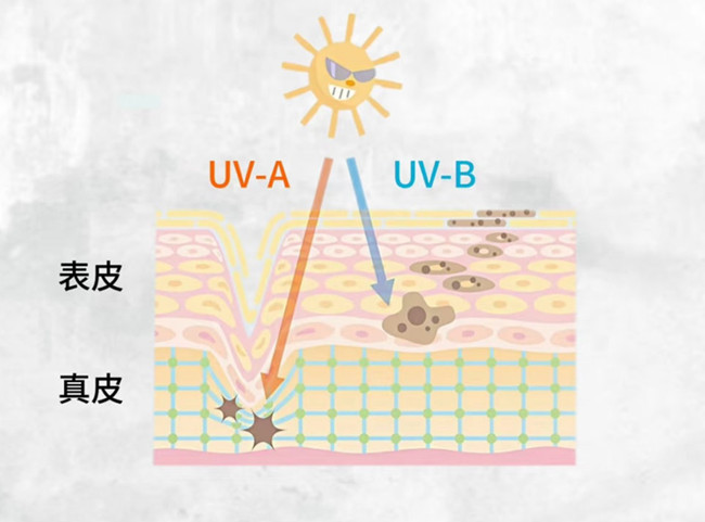 物理防曬和化學(xué)防曬怎么選？廣西皮膚管理美容